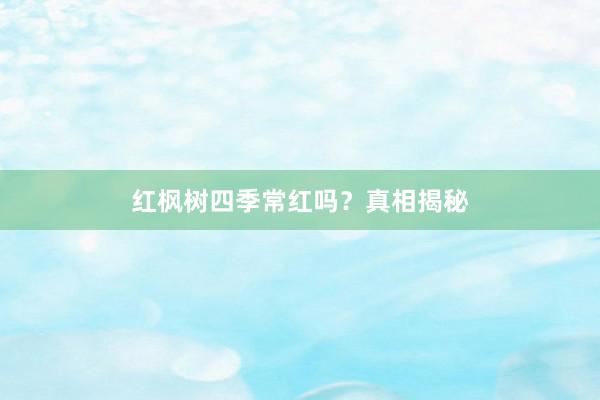 红枫树四季常红吗？真相揭秘