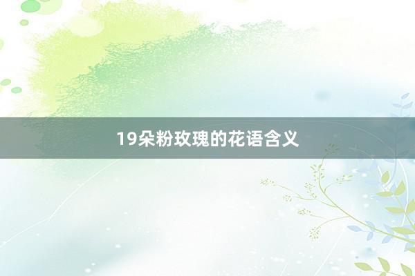 19朵粉玫瑰的花语含义