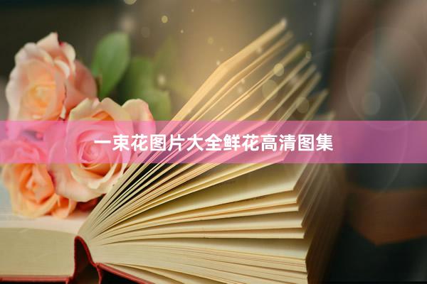 一束花图片大全鲜花高清图集