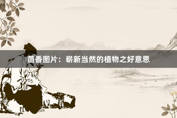茴香图片：崭新当然的植物之好意思