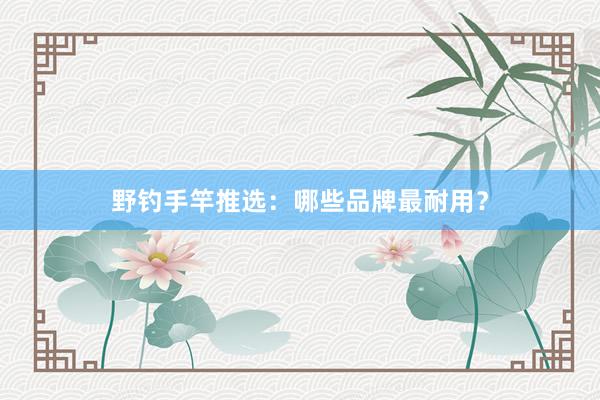 野钓手竿推选：哪些品牌最耐用？