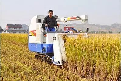丰收在即！精准高效，不可错过的水稻机械收割技术要点与注意事项