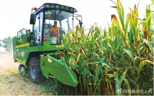 最新权威解读 农机补贴政策全解析，助力农业现代化