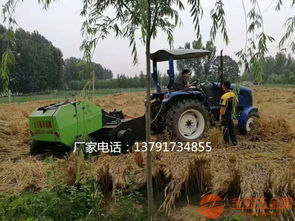 东北青储秸秆回收式打捆机厂家直销 高效棉花秸秆粉碎捆扎机助力农业机械化